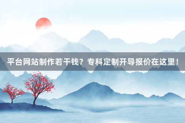 平台网站制作若干钱？专科定制开导报价在这里！